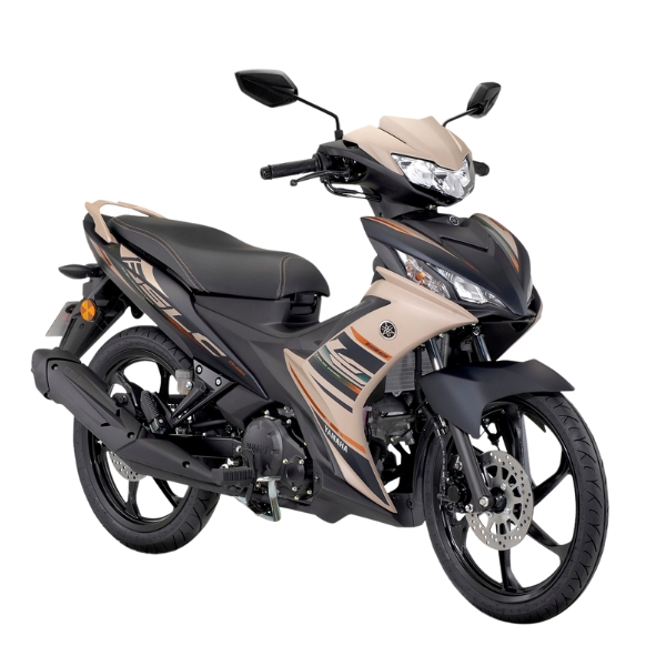 LCV8 FI 2025 (3)