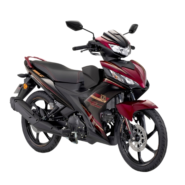 LCV8 FI 2025 (4)