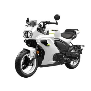 PAPIO XO-1